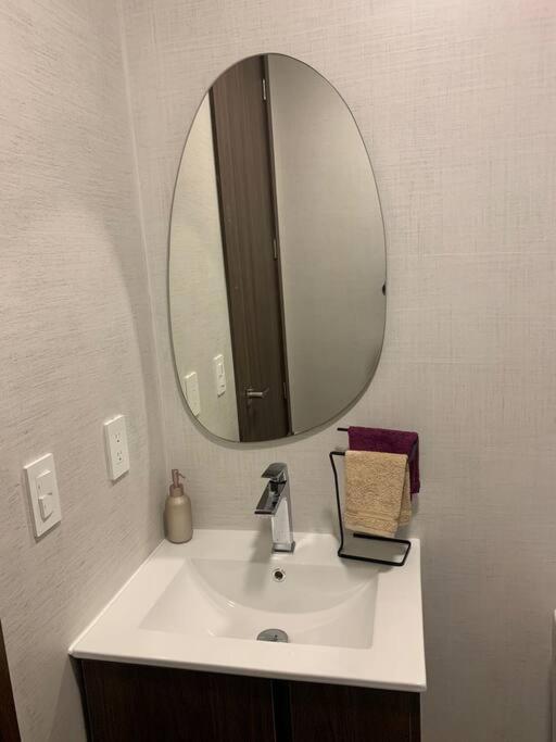 Confort Suite La Carolina กีโต ภายนอก รูปภาพ